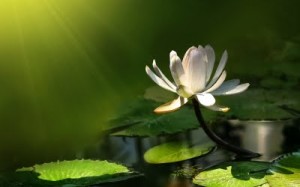 meditaciones guiadas